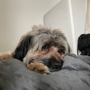 Meet your Posher, Omar